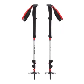 Expedition 3 Ski Poles