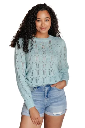 Hole In One Sheer Pointelle Knit Sweater