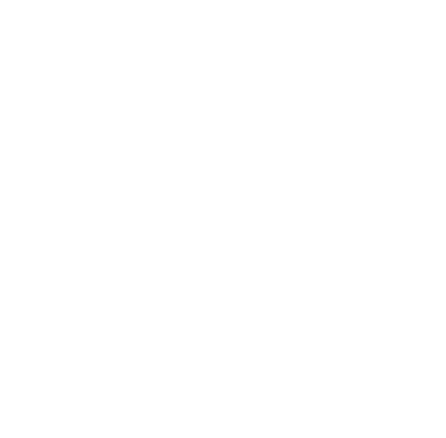 Sneakers & Lace-Ups